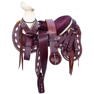 Mexican Saddle Zacatecas